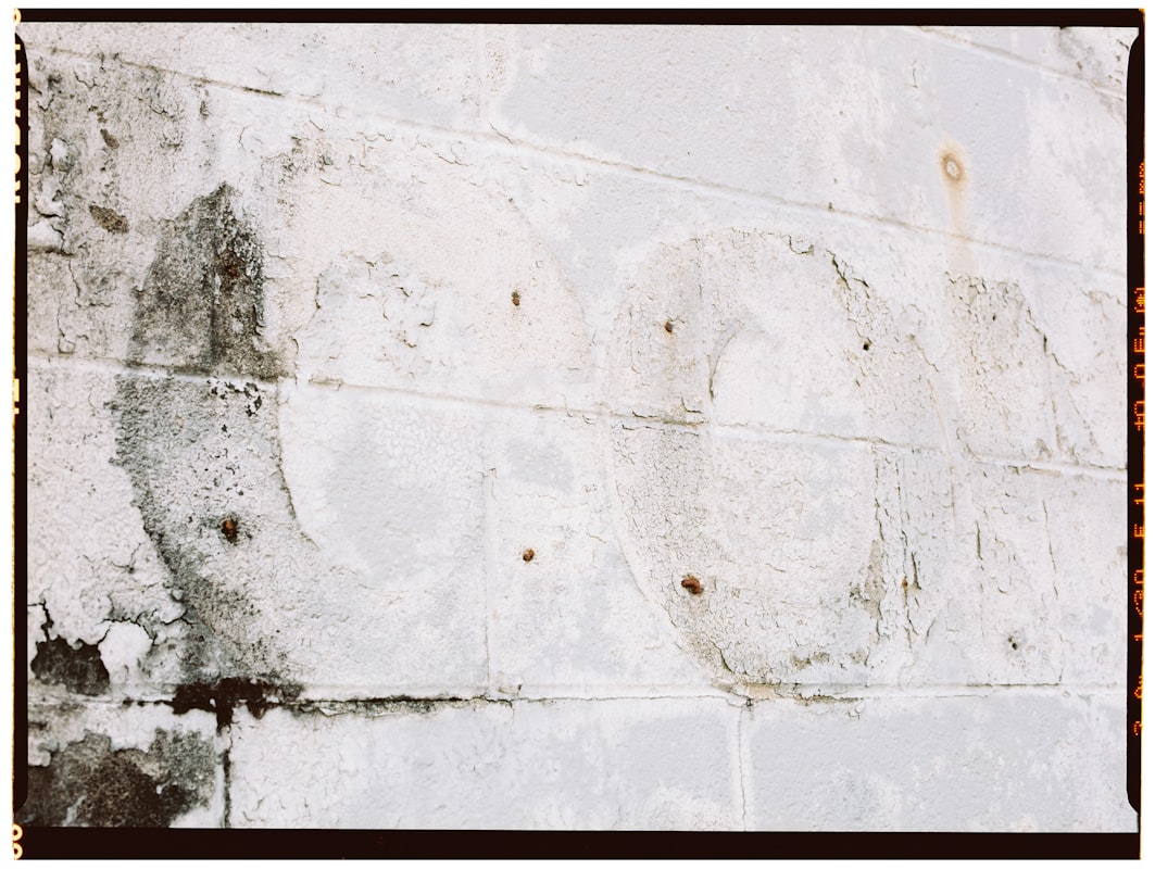 Flood Cleanup service in Meridian, ID