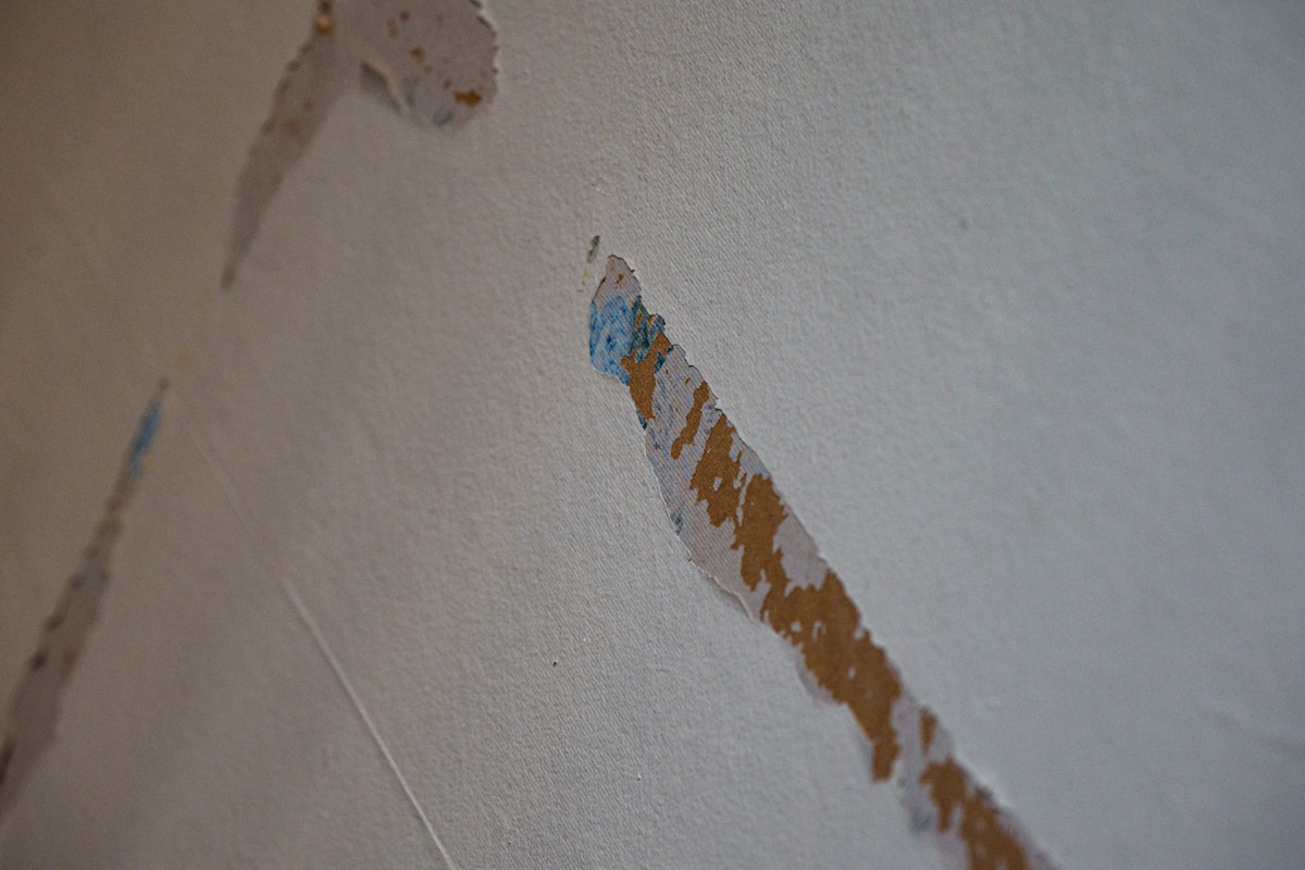 Commercial Water Damage service in Meridian, ID